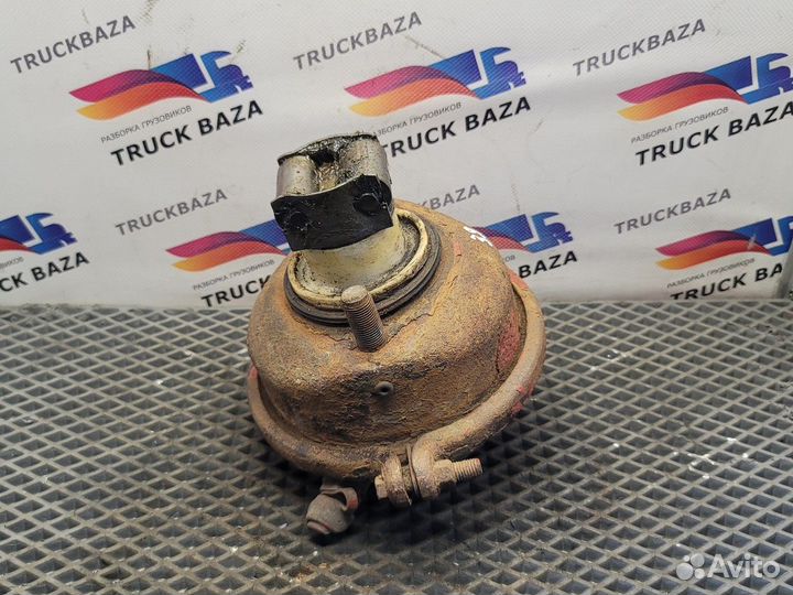 1189425 Камера тормозная передняя Iveco EuroTech