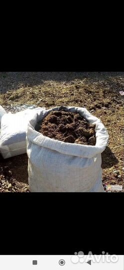 Навоз с доставкой