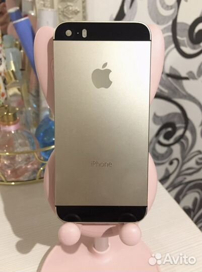 Корпуса iPhone 5s/5