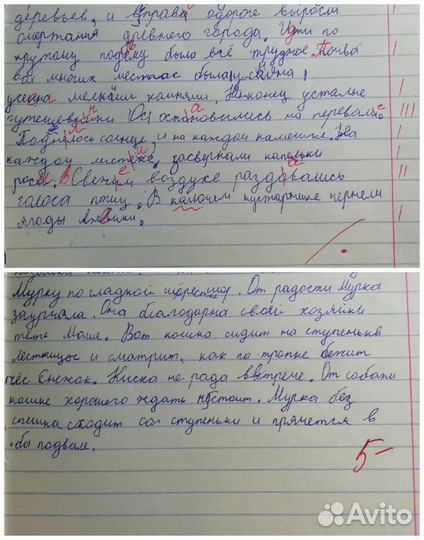 Репетитор начальных классов, подготовка к школе