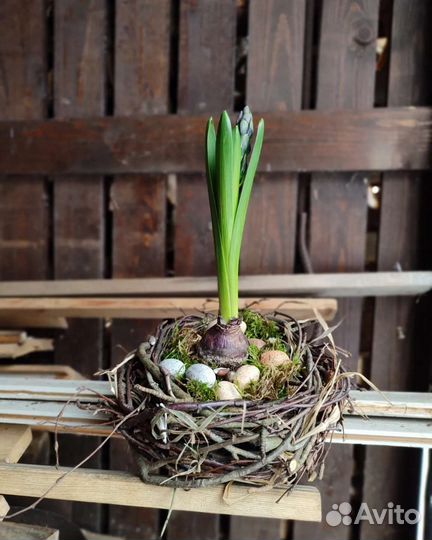 Гнездо натуральное декоративное