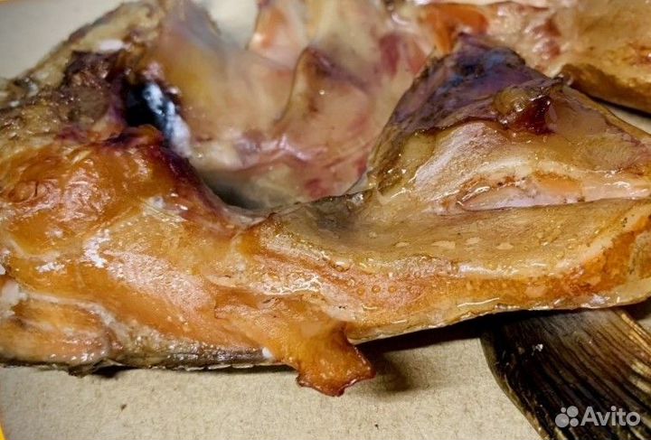 Головы Семги