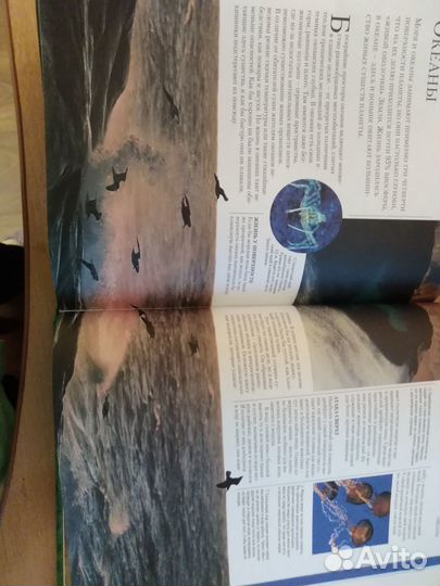 Энциклопедия живой природы