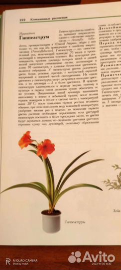 Книги о цветах