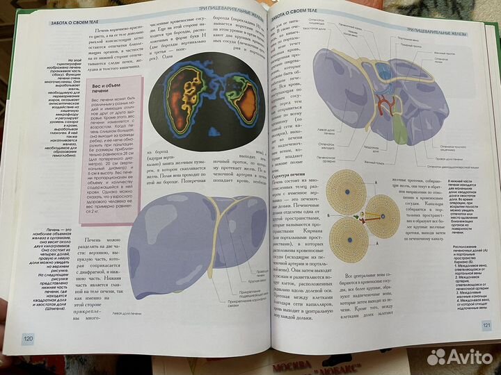 Популярная медицинская энциклопедия для всей семьи