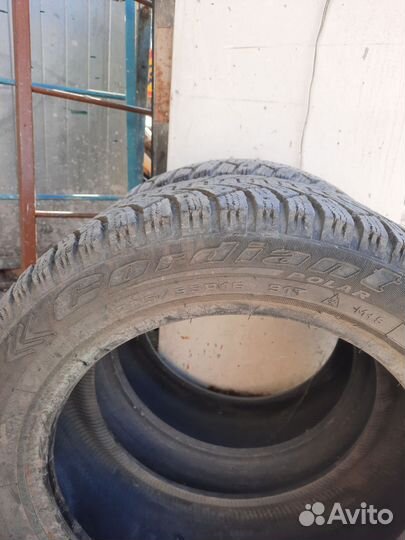 Cordiant Polar 205/55 R16 100ZR