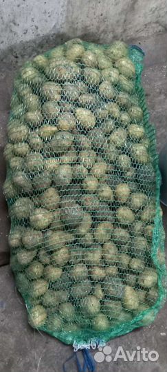 Картофель на корм животным