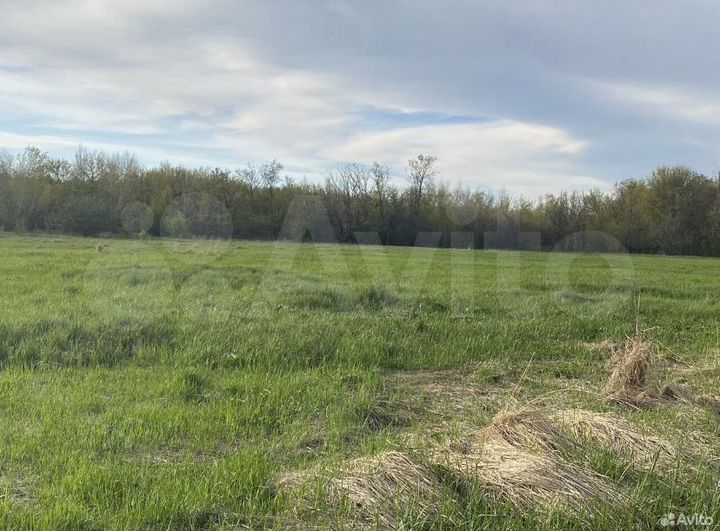 Участок 44 га (СНТ, ДНП)