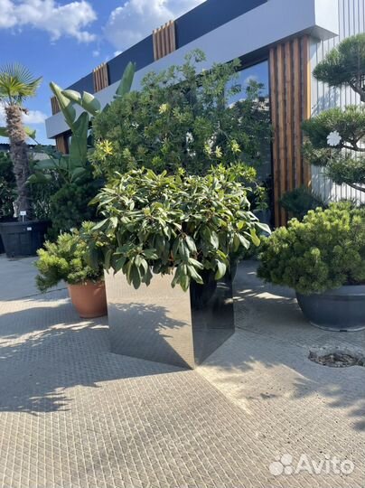 Кашпо для цветов зеркальное из нержавеющей стали