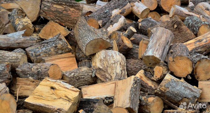 Дрова с Зеленогорска
