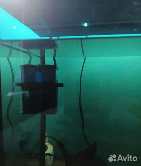 Аквариум с фильтром и камнями
