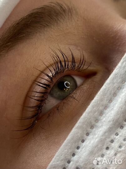 Ламинирование ресниц / брови