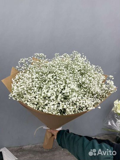 Гипсофила белая цветная букет цветы доставка Москв