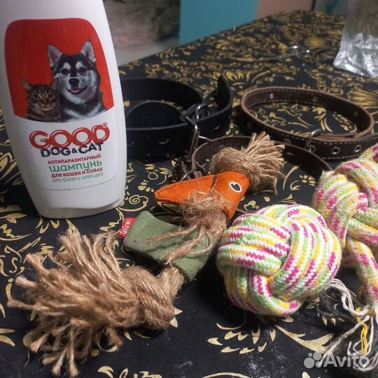 Амуниция для собак игрушки шампунь пеленки