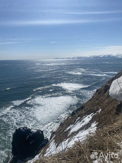 Снегоходная экскурсия на мыс Маячный