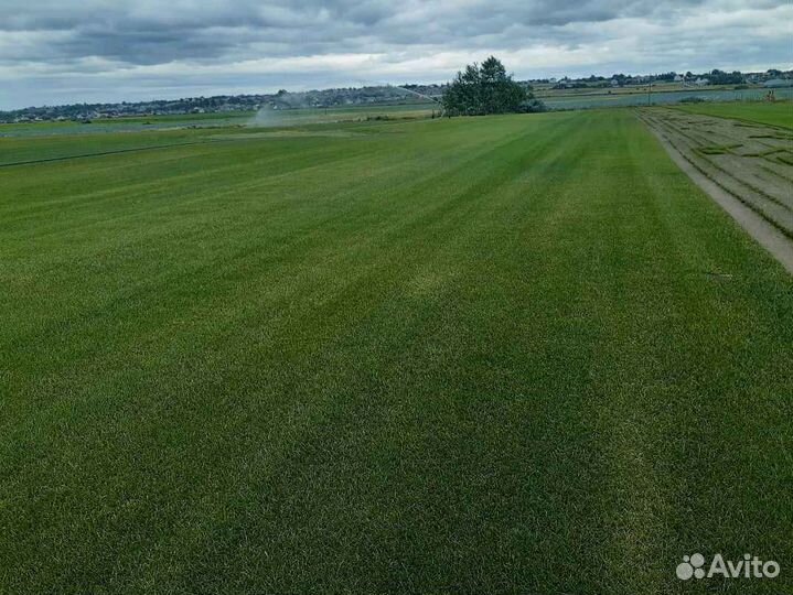 Рулонный газон спортивный