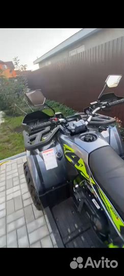 Motoland Wild Track 200