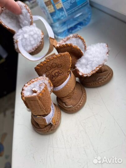 Ботинки для маленьких собак