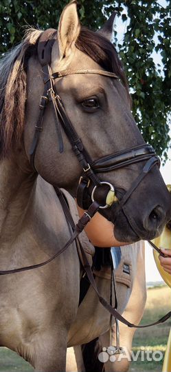 Уздечка (оголовье) euroriding, меховушка под седло