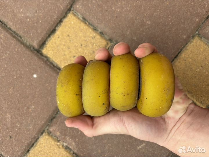 Колеса для лыжероллеров, лыжные палки, крепления