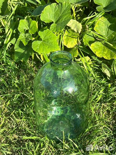 Стеклянные бутыли 20л, стеклянные бутыли 10л