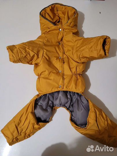 Комбенезон для маленькой собачки