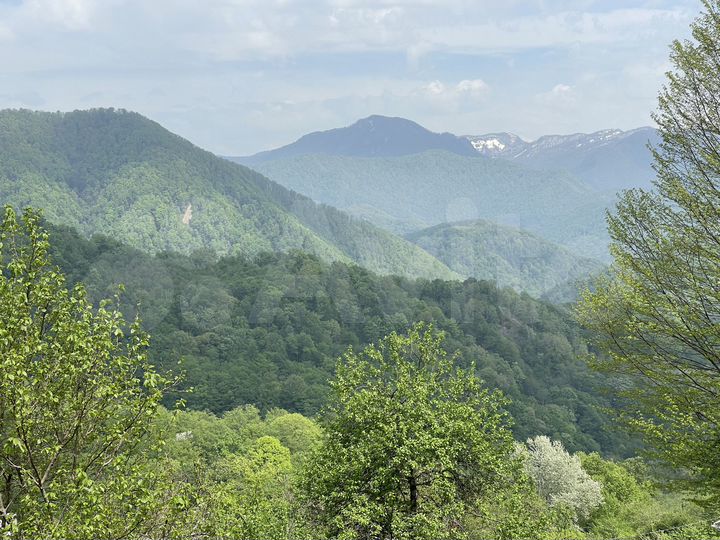 Участок 5 сот. (СНТ, ДНП)