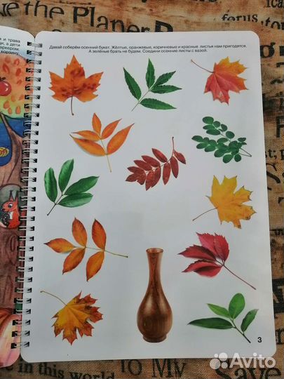 Пособие Юлии Фишер Ознакомление с природой 2-3 г