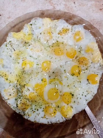 Яйцо перепелиное