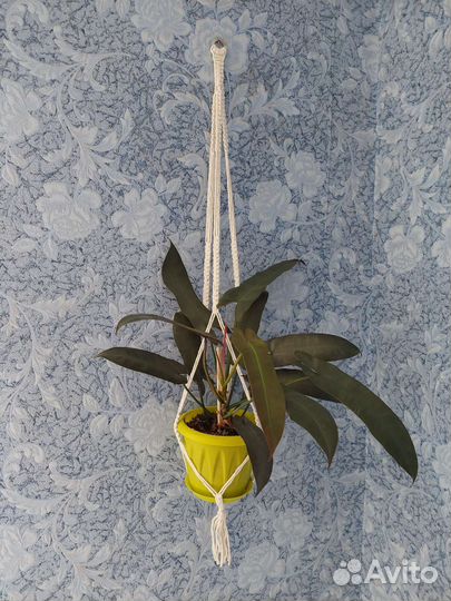 Подвесы для кашпо