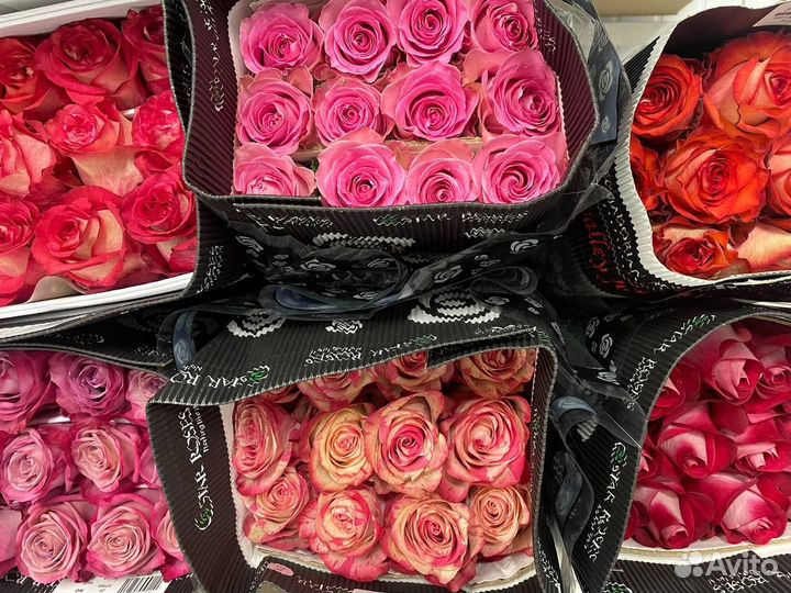 Розы оптом от 15 штук.101 роза оптом. Новосибирск