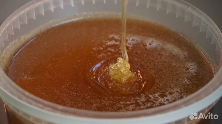 Майский мёд 2024г