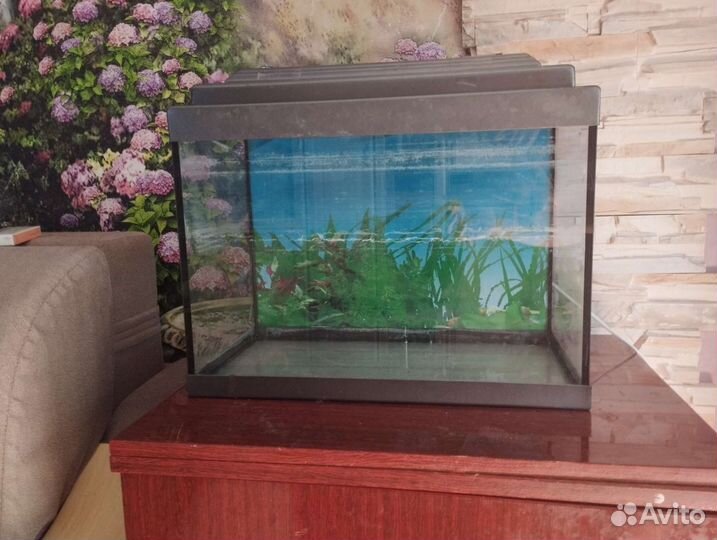Аквариум