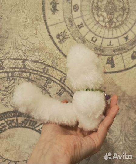 Мягкий котик