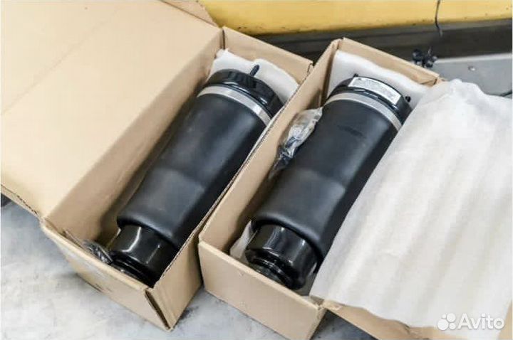 Пневмоподвеска Mercedes W251