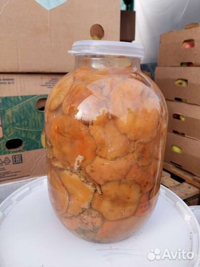 Грибы маринованные