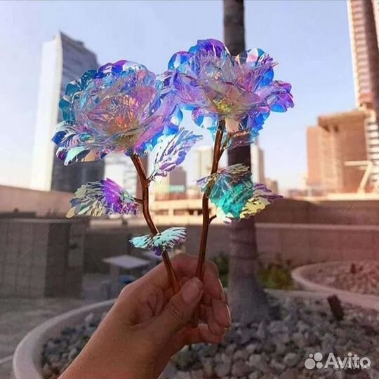 Роза светящаяся (переливающаяся)