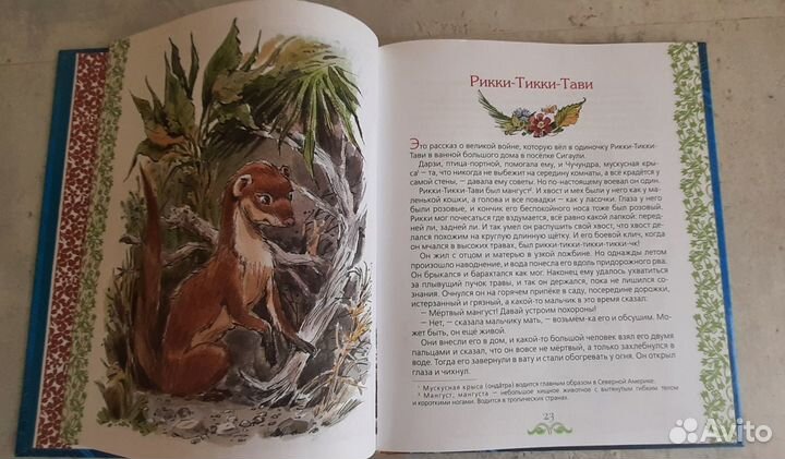 Сказки Р. Киплинга