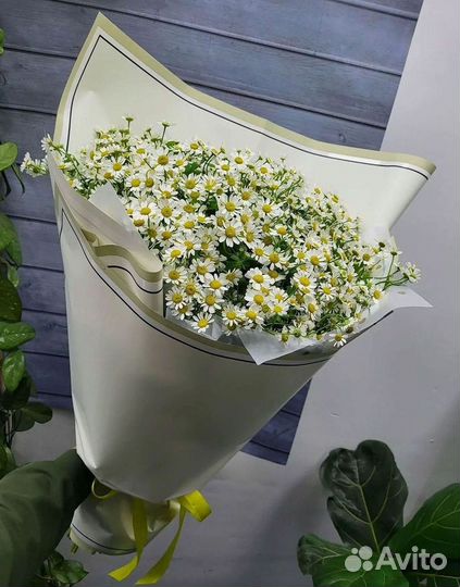Ромашки Букет из ромашек доставка