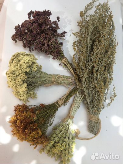 Травы в пучках Зверобой Душыца Полынь Железница