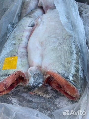 Кета камчатская.Без головы.Свежемороженая.2021года