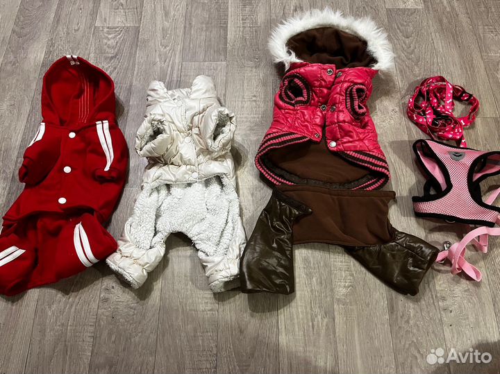 Одежда для собак