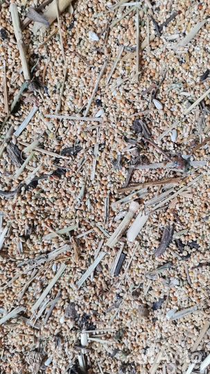 Зерновые отходы