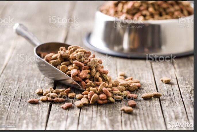 Сухой корм для кошек