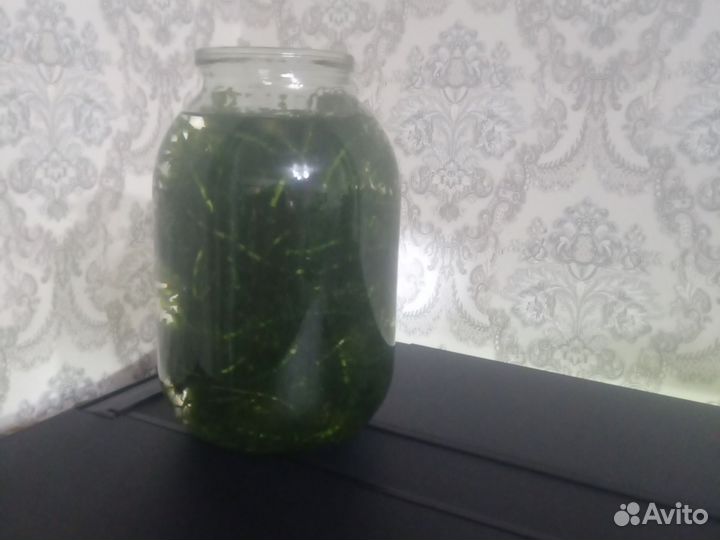 Аквариумные растения прополка