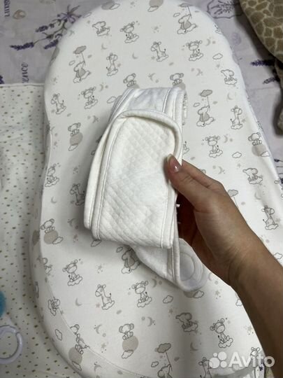 Кокон Зевушка