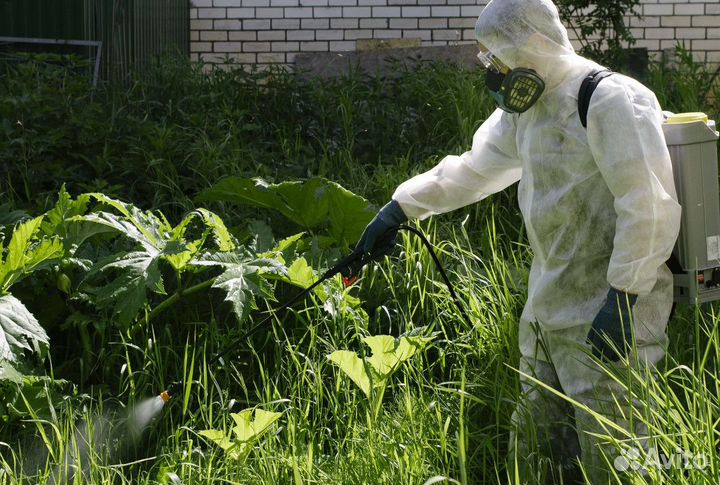 Обработка от комаров и сорняков на участках