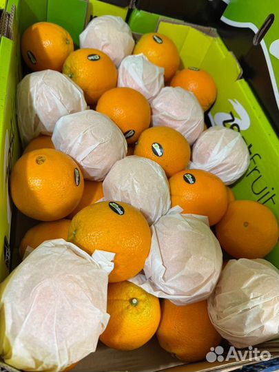 Апельсин Валенсия