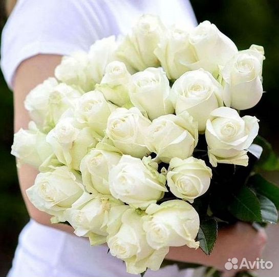 Высокие розы Доставка цветов