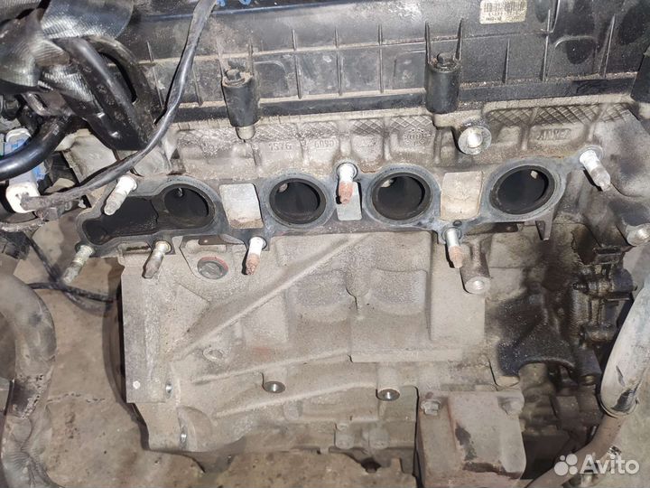 Двигатель qqdb 1.8L бензин Форд Фокус 2